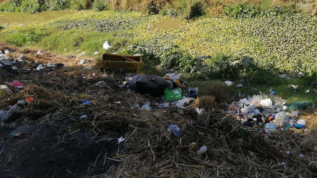 La contaminacion del temascatio